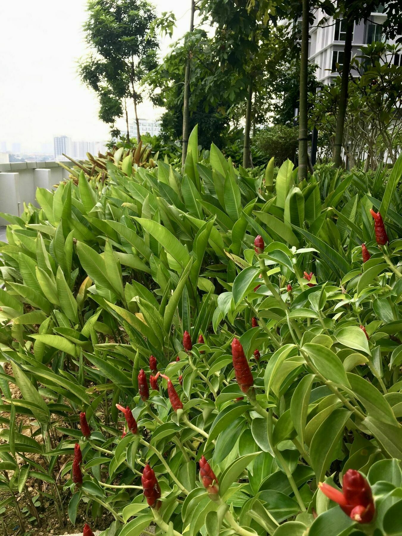 Southbank Residence Block B, Mid Valley @ De Space Kl كوالالمبور المظهر الخارجي الصورة